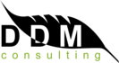 logo_black DDM Consulting